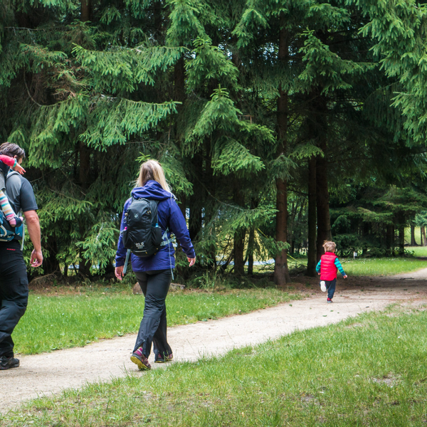 camping family walk.PNG