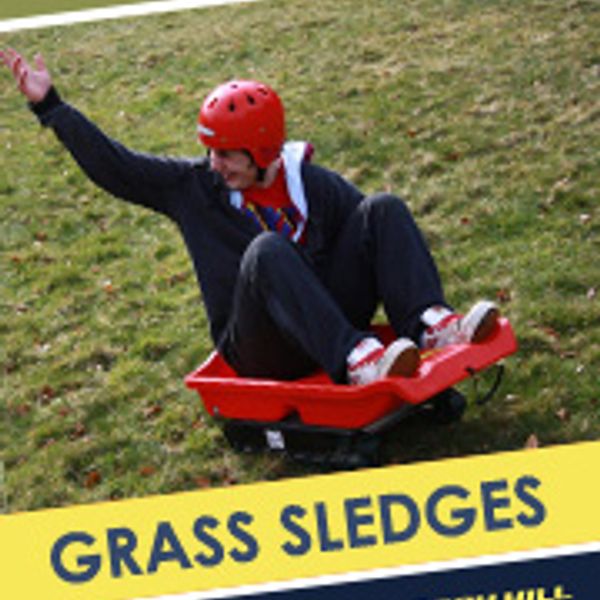 grasssledges.jpg