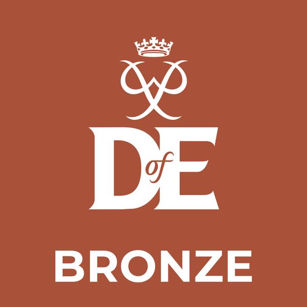 square_level_logo_-_BRONZE.jpg