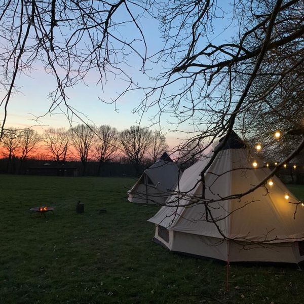 WhatsApp Image 2021-03-24 at 12.20.57.jpeg