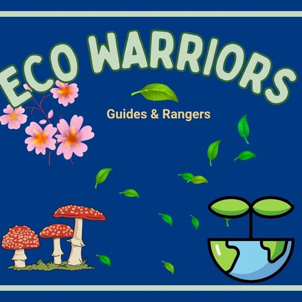 Eco Warriors.jpg