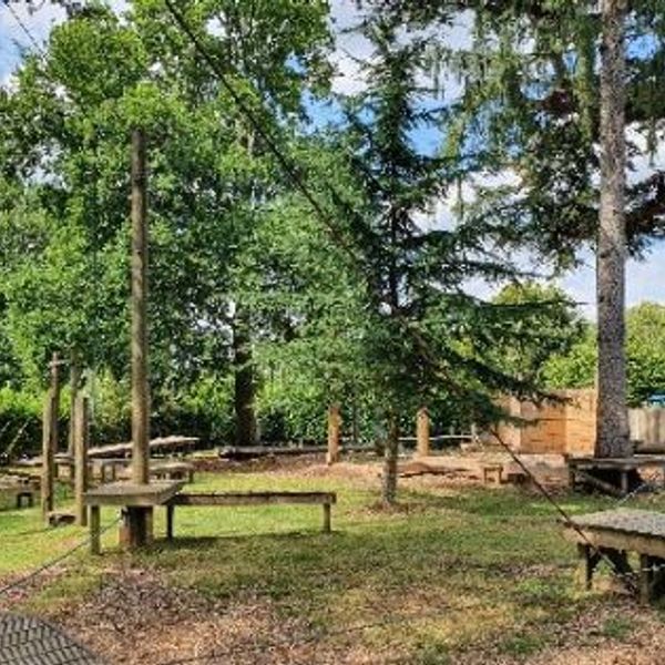 Professional Training and Development