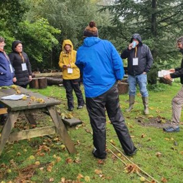 Professional Training and Development