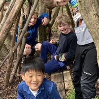 TYM woodland shelter.jpg