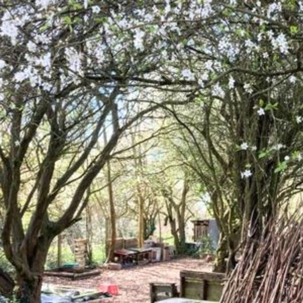 Little squirrels.jpg