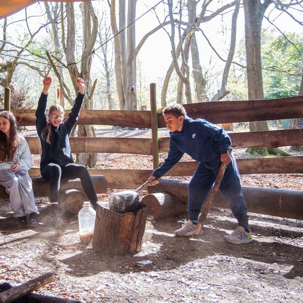 Woodland explorer.jpg