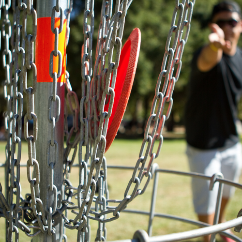 Disc Golf