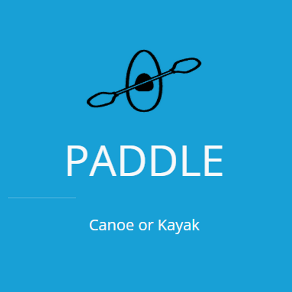 paddle.png