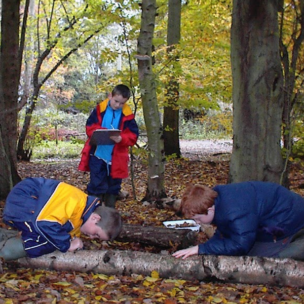 Wild Holiday Activity Day - 5-8 YEAR OLDS