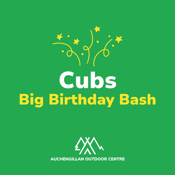 Cubs Birthday Bash