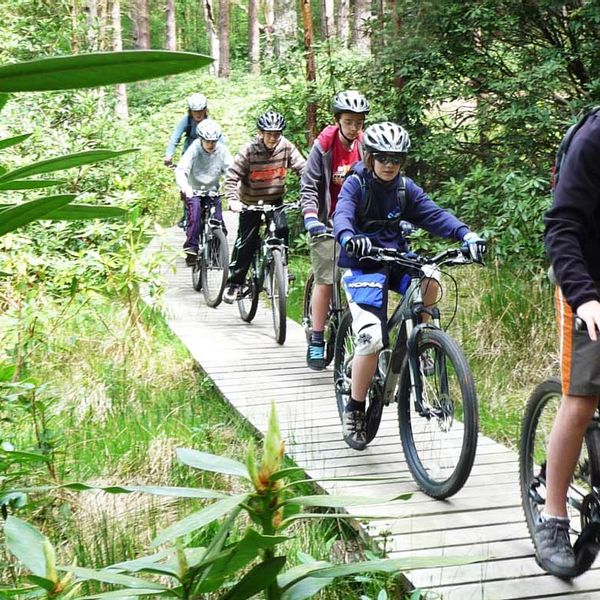 Pedal and Pizza - Beginners