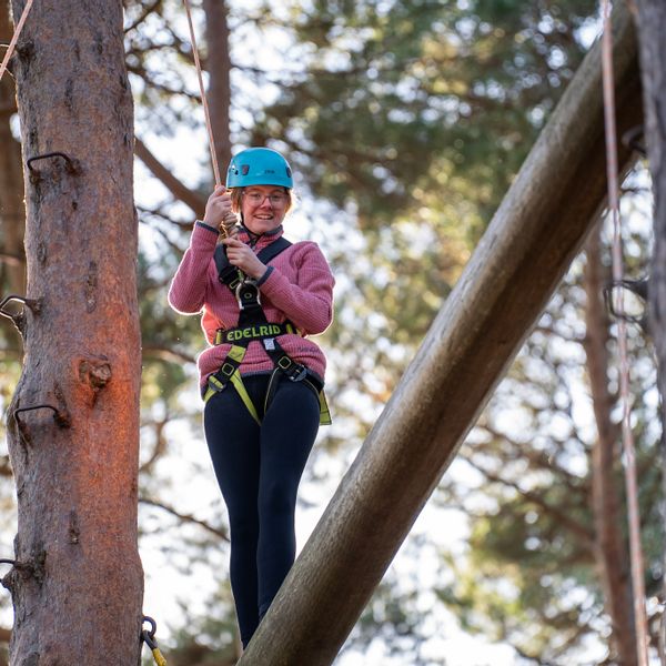 High Ropes 2.jpg