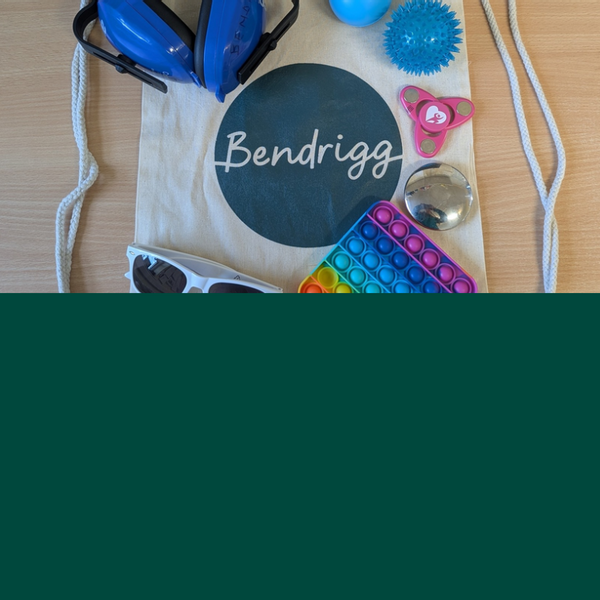 Webinar sensory support