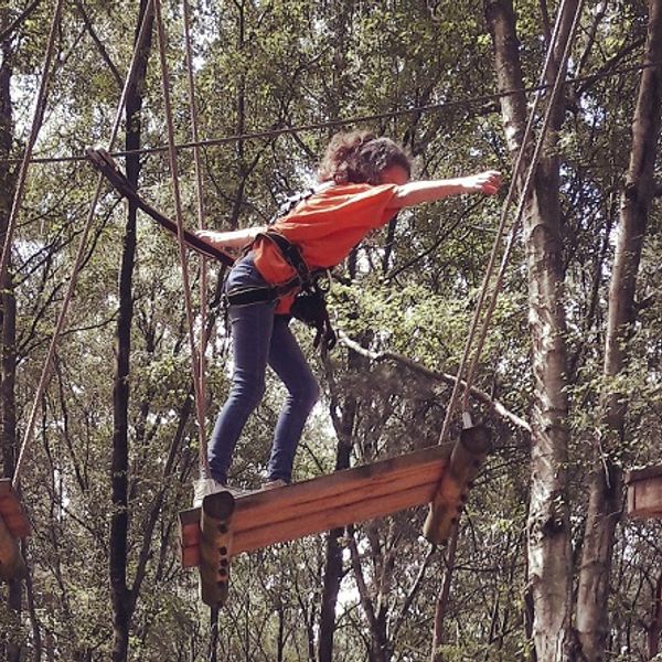 Low Ropes Course