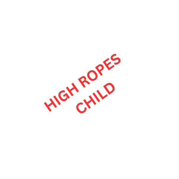 HIGH ROPES CHILD.png