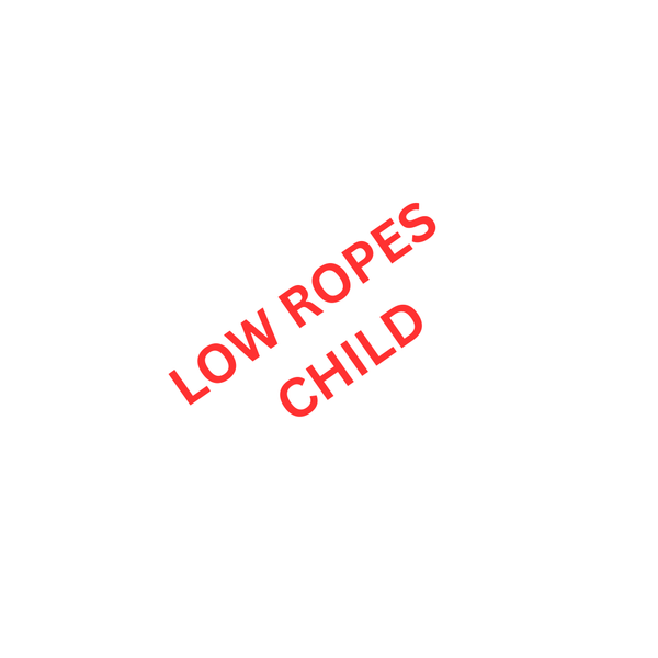 LOW ROPES CHILD.png