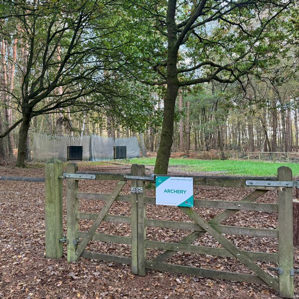 Archery 4