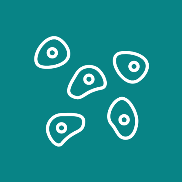 Traversing Wall Icon