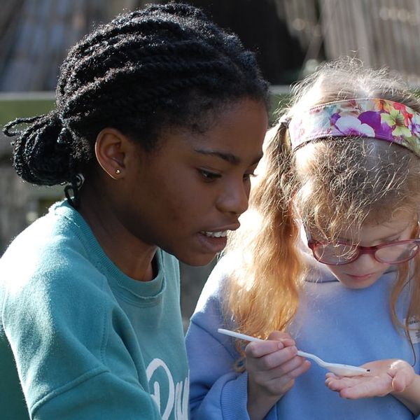 eco adventurers 8-11s.jpg