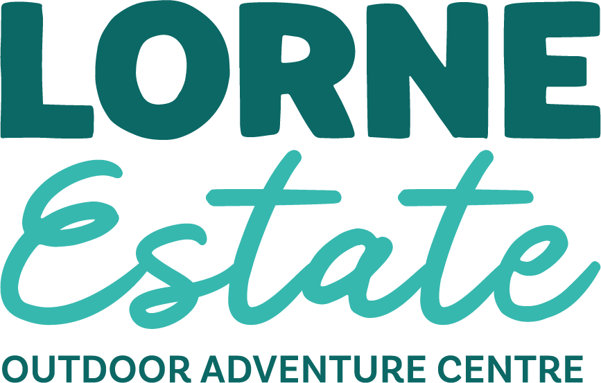 turquoise mint logo.png