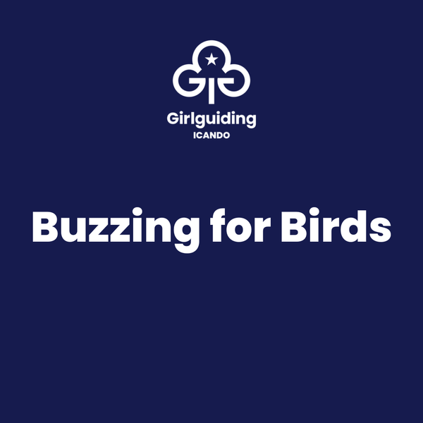 Buzzing for Birds.png