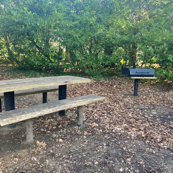 RVCP - Laurel BBQ.jpg