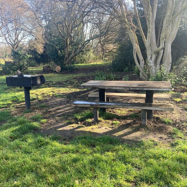 RVCP - Willow BBQ.jpg