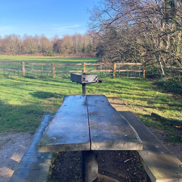 RVCP - Rowan BBQ.jpg