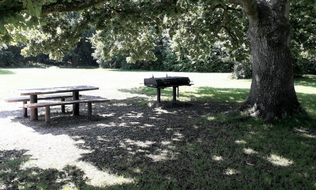 BBQ Info 2