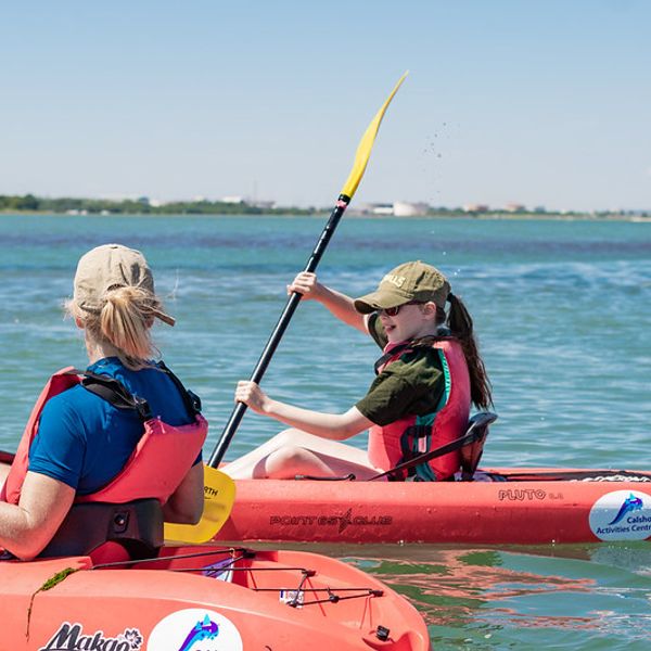 50065746332_eb1ea1d5d5_c (2).jpg