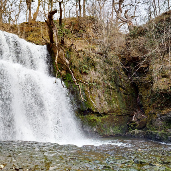 Waterfall.png