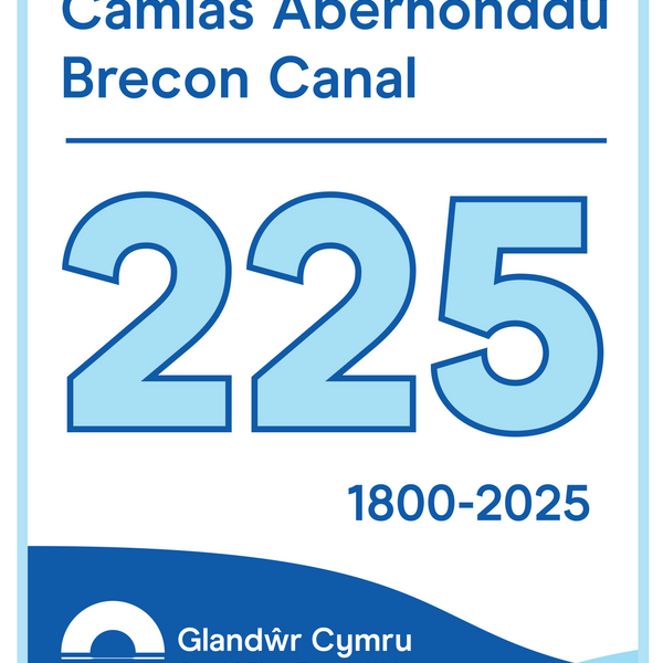 Brecon 225 logo.png