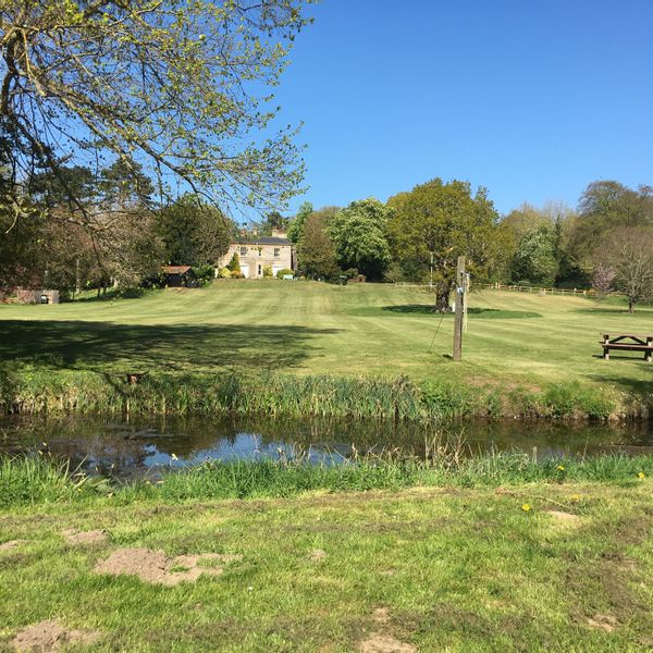 House from Cut 2020.jpg