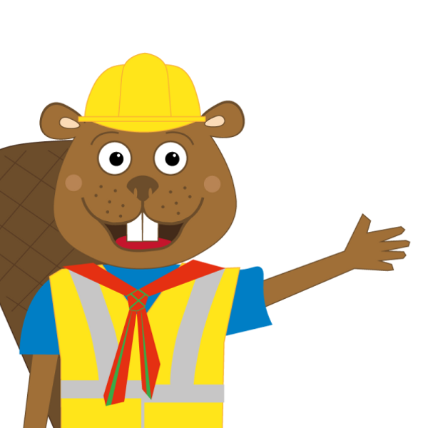 Beavers Builder Badge Day