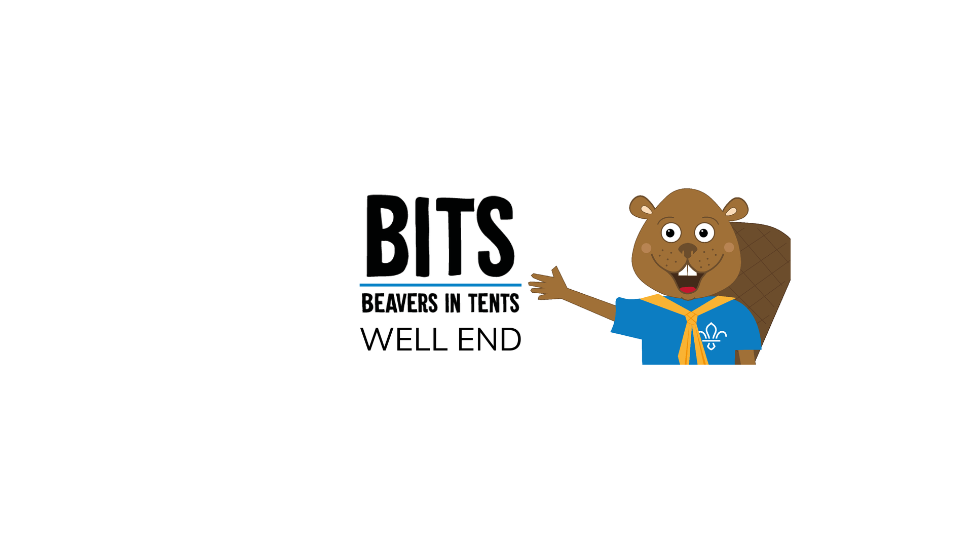 BITSWE.png