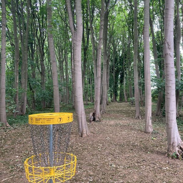 discgolf3.jpg