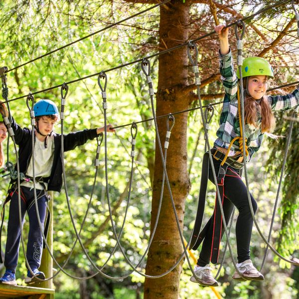 tree-tops-1.jpg