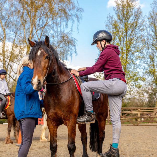 Riding menage young rider.jpg