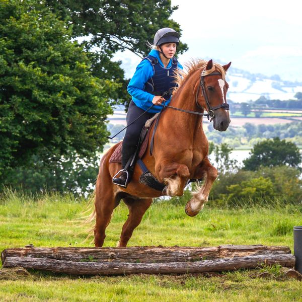 Fun ride jumping.jpg