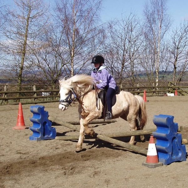 horse-riding-llangorse-lessons.jpg