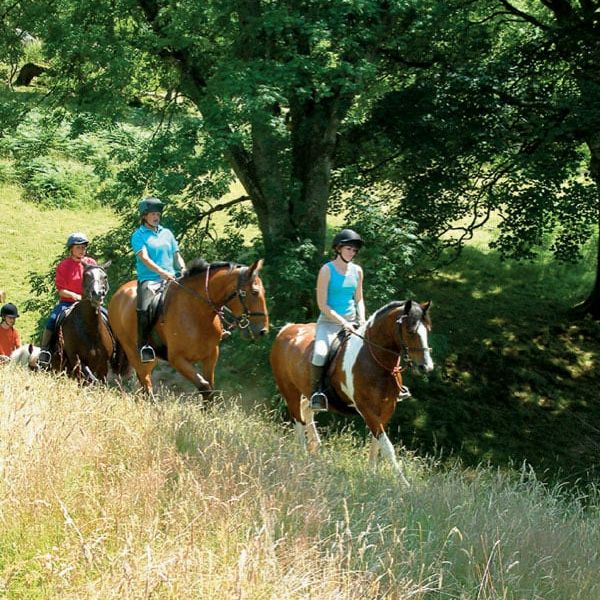 horse-riding-llangorse-mountain.jpg
