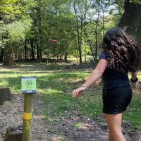 Disc Golf.jpg