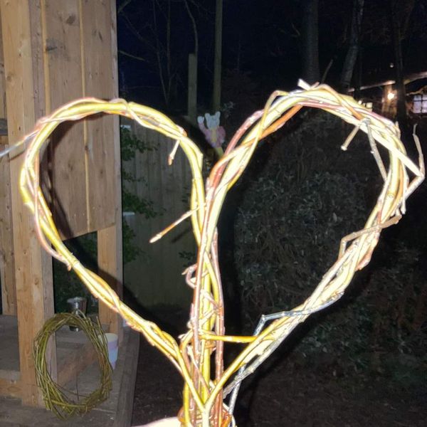 heart willow.jpg