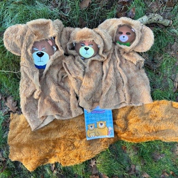 Goldilocks and the 3 Bears.jpg