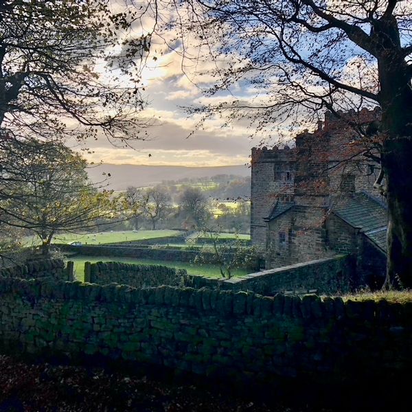 N Lees brighter.jpeg