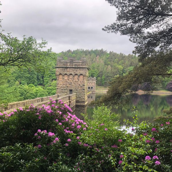 Howden Dam July crop.jpg