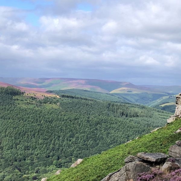 Win Hill Aug banner .jpg