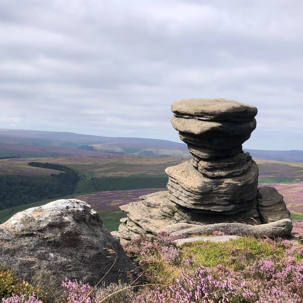 Salt Cellar Aug Sept crop.jpg