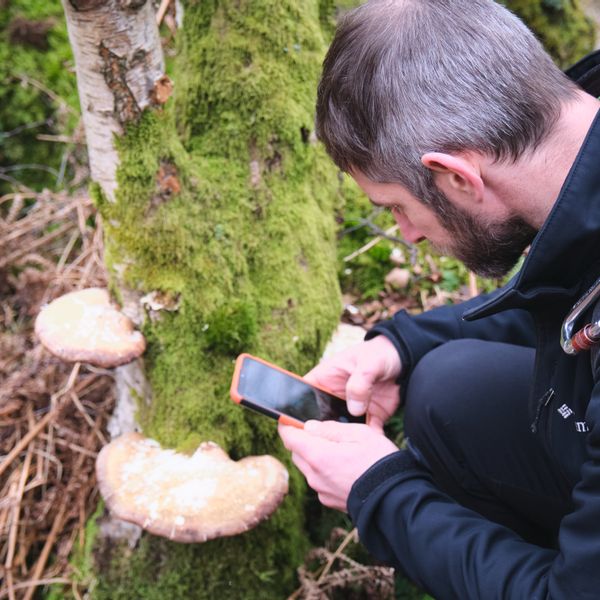 LookWild Guided Walk