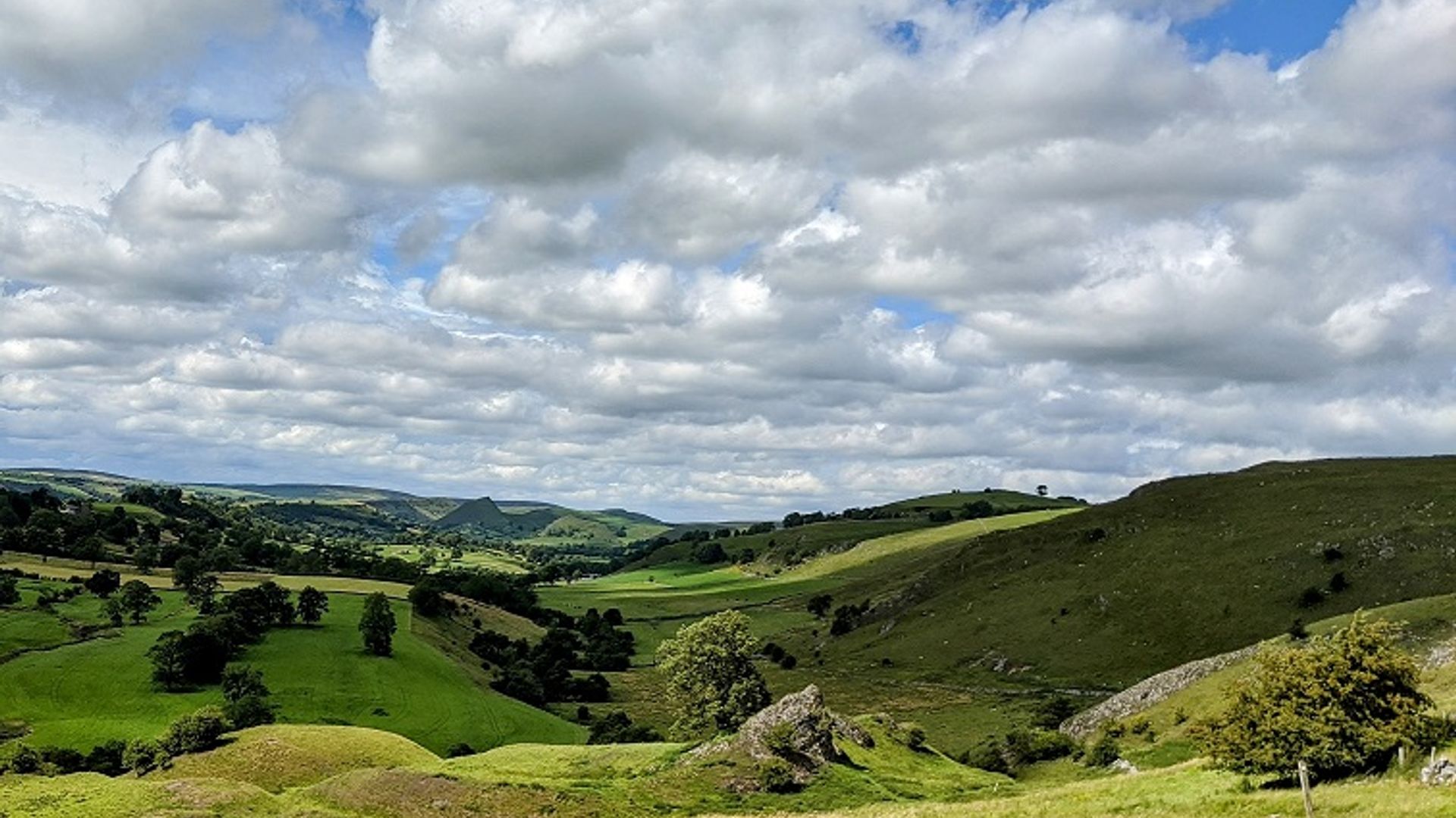 Mindfulness and Nature Connection Walk